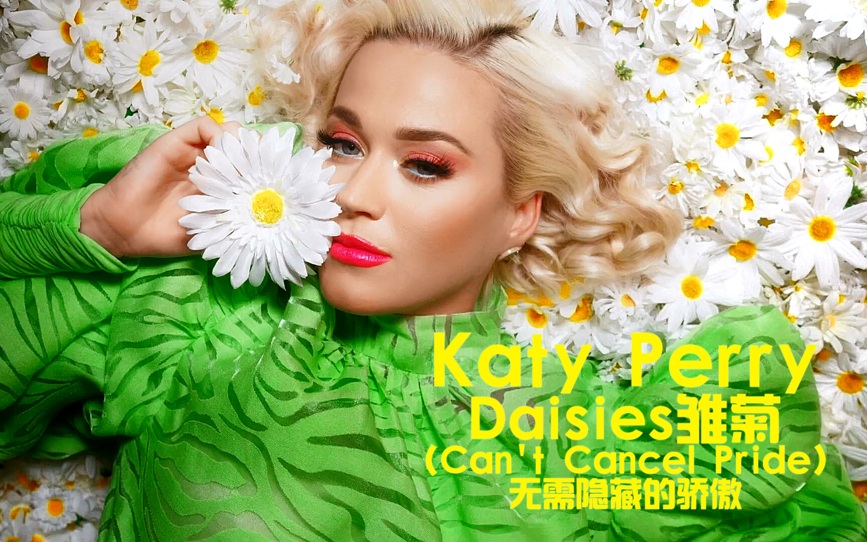 【中英双字】Katy Perry  Daisies (Can't Cancel Pride)雏菊|无需隐藏的骄傲哔哩哔哩bilibili