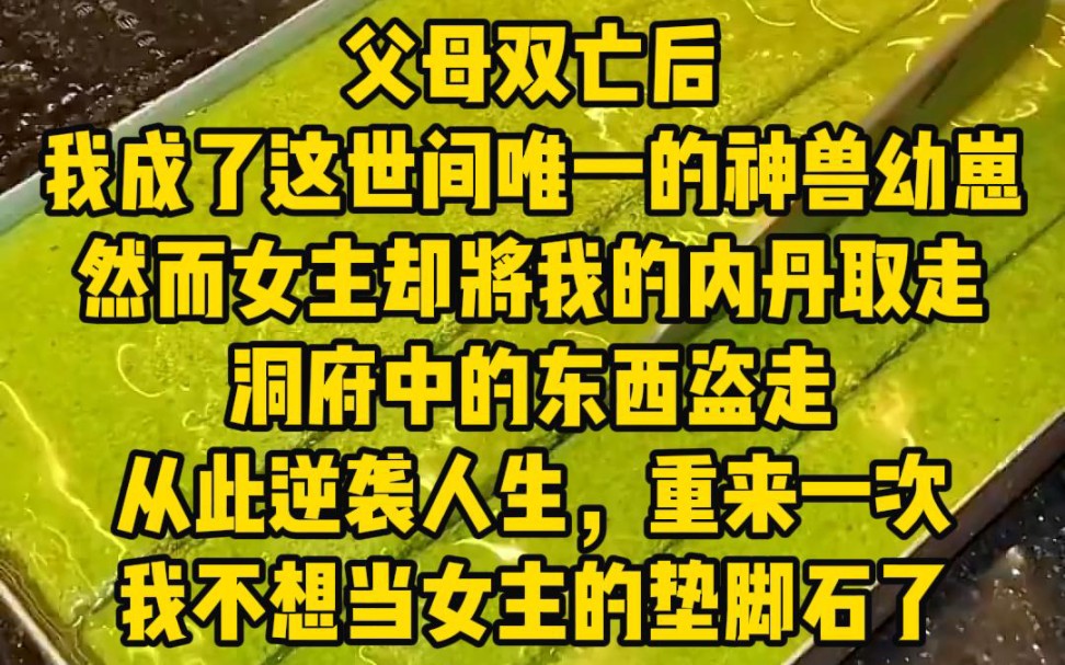 [图]《命中机缘》父母双亡后，我成了这世间唯一的神兽幼崽，而女主却将我的内丹取走，洞府中的东西盗走，从此逆袭人生，重来一次，我再也不想当女主的垫脚石了