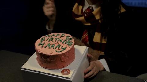 heejo】2021/5/23～哈利·波特蛋糕制作Harry Potter Birthday Cake from