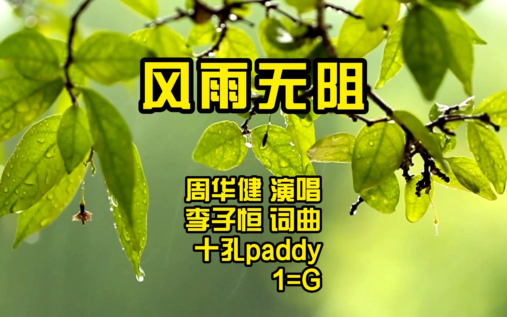 口琴演奏 周华健《风雨无阻》