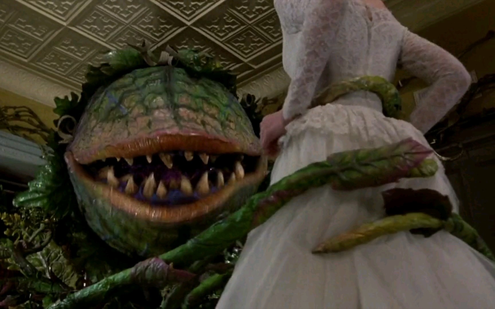 食人花想吃美女 小伙晚来一步没能救下未婚妻