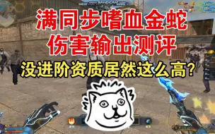 Video herunterladen: 生死狙击冒险满同步嗜血金蛇伤害输出测评！没进阶的武器资质居然这么高！你们还记得这武器吗？