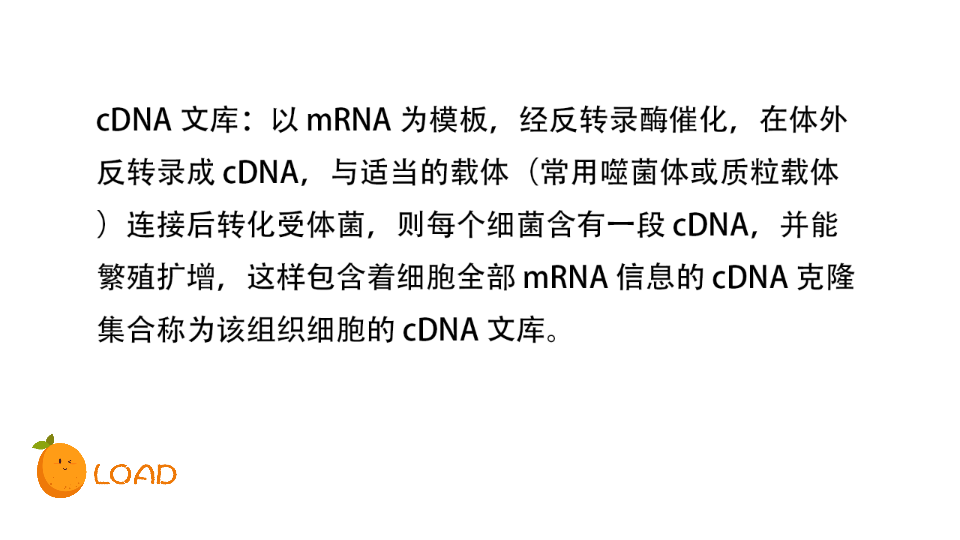 【生化】名词解释(5)波尔效应 、cDNA 文库哔哩哔哩bilibili