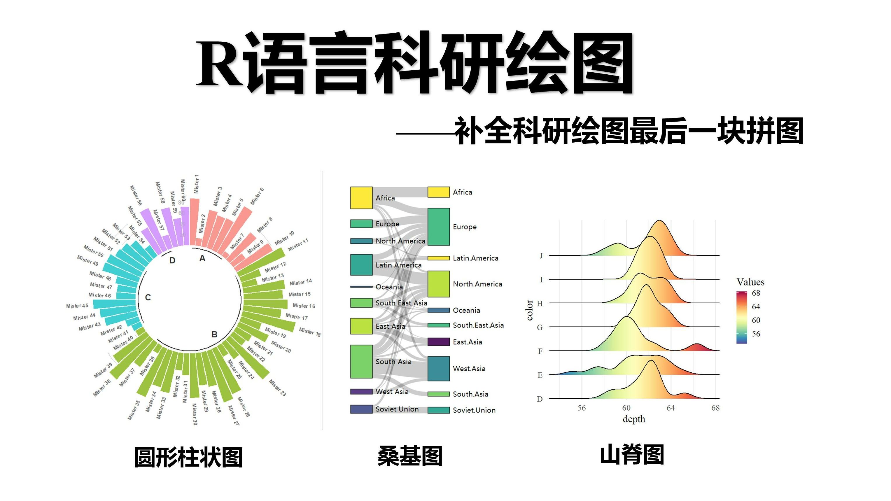 【R语言科研绘图】一个视频教你速通R语言绘图(含代码网站)哔哩哔哩bilibili