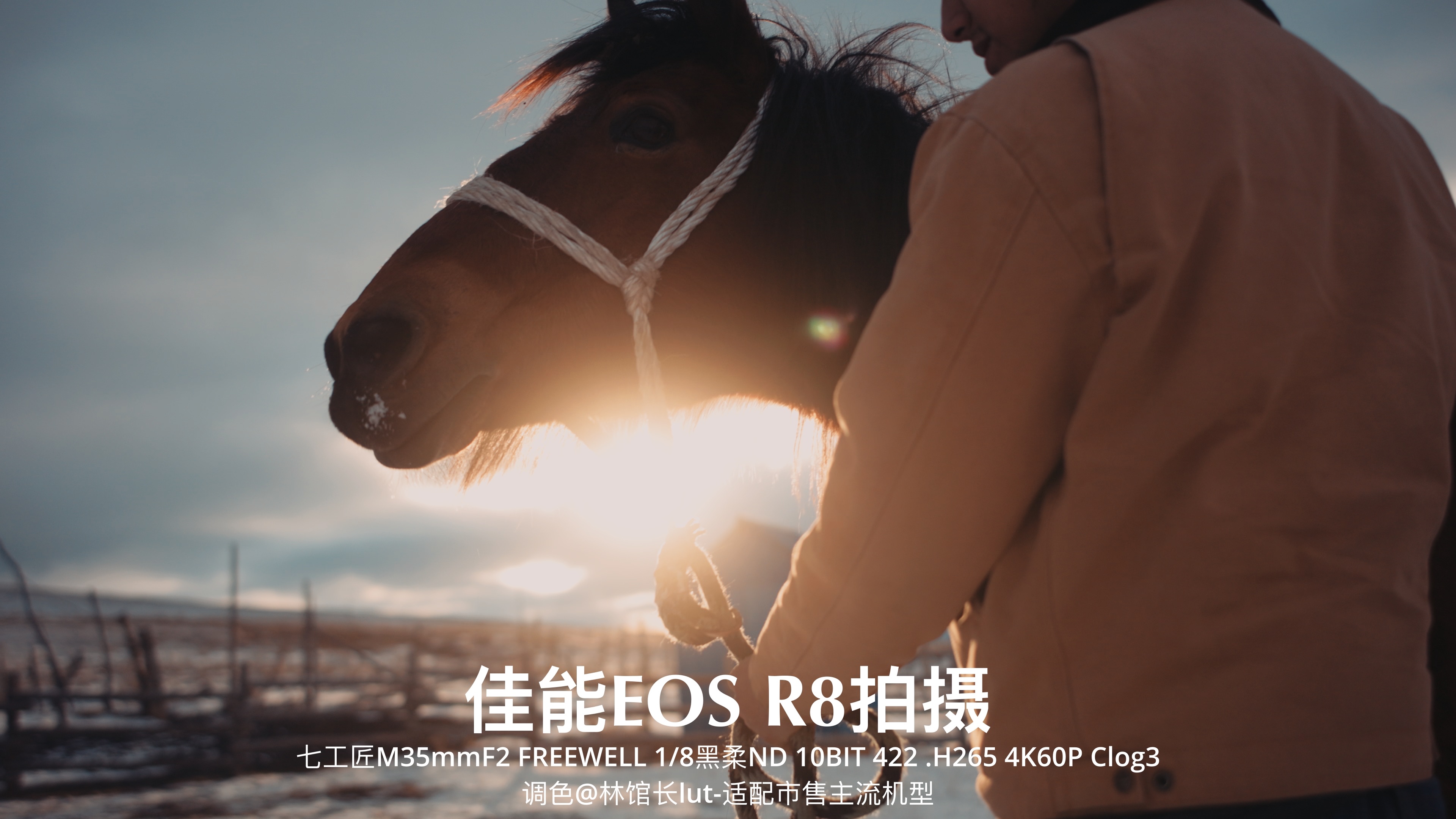 告诉你什么叫每一帧都是电影感,佳能eos r8 4k60p,clog3调色七工匠m35
