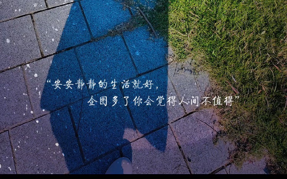 安安静静的生活就好,企图多了你会觉得人间不值得