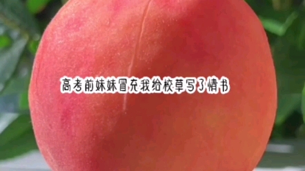 月上之星1哔哩哔哩bilibili