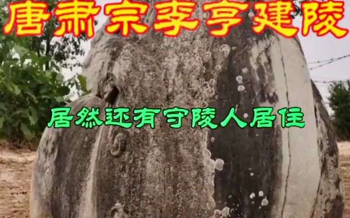 【建筑科普】建陵是唐肃宗李亨、章敬皇后吴氏、韦妃合葬的陵墓哔哩哔哩bilibili