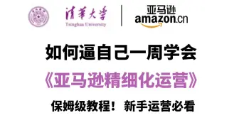 【亚马逊精细化运营】（全353集）基础理论+案例实操，全程干货通俗易懂，新手运营一周速通！有了这套运营教程，自学入门避开99%的弯路！