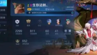 王者荣耀4