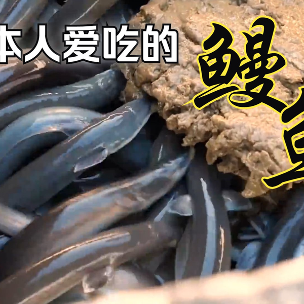 日本人爱吃的鳗鱼，55%进口自中国！日本人拿中国鳗冒充日鳗！详解日本