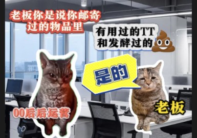 (猫meme)老板说国际快递邮寄过最离谱的是用过的tt哔哩哔哩bilibili