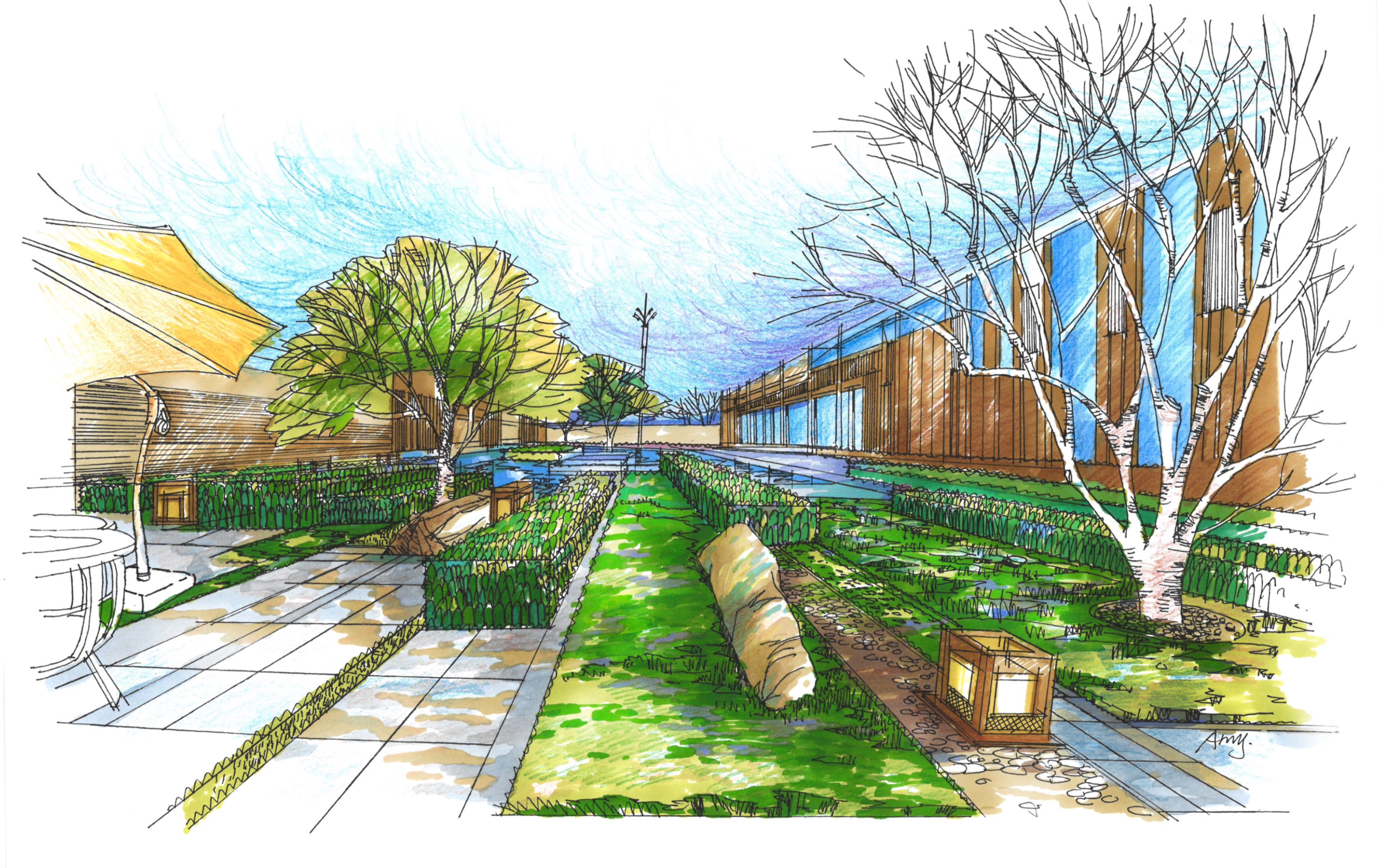 景观园林设计考研手绘61马姐