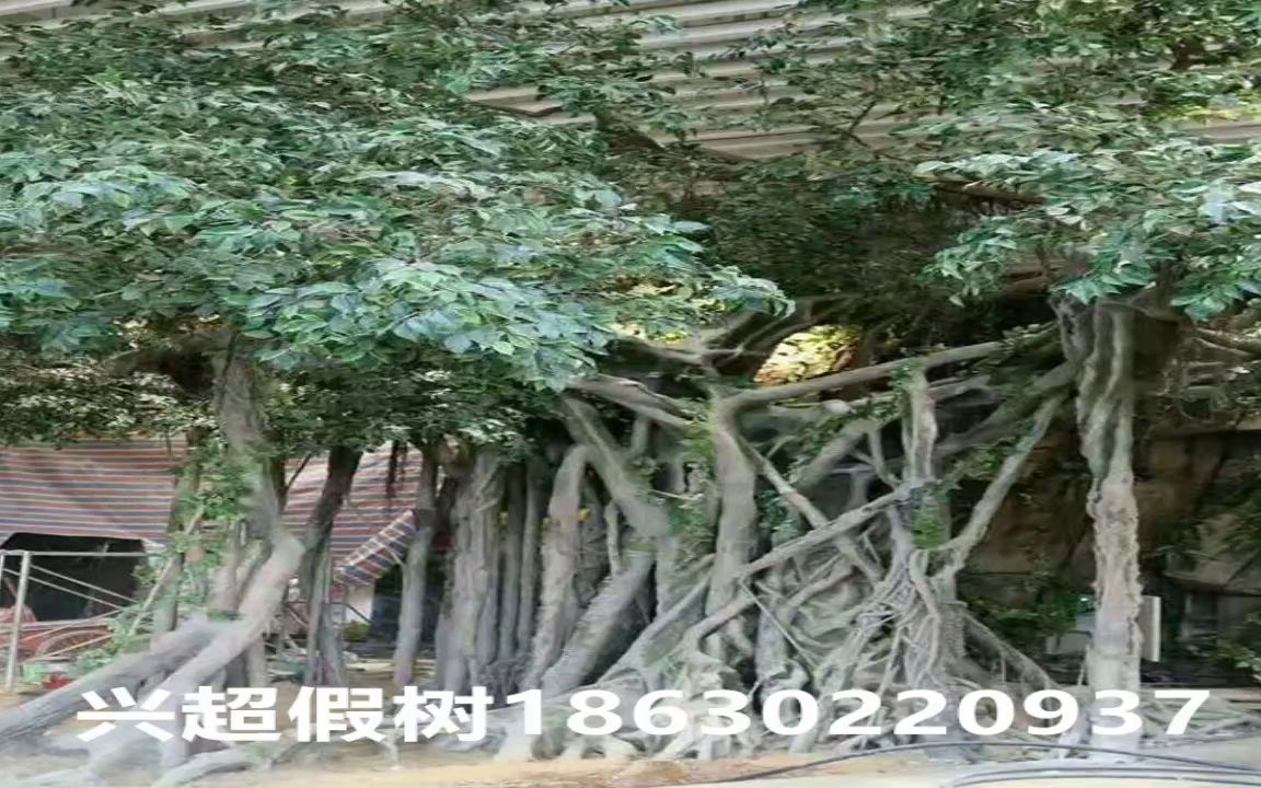 北京丰台梅州假树大门厂家 水泥榕树制作 阜阳假树设计施工酒店假树哔哩哔哩bilibili