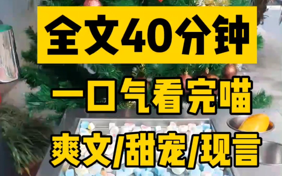 【全文完】爽文/甜宠/现代言情 全文40分钟 一口气看完哔哩哔哩bilibili