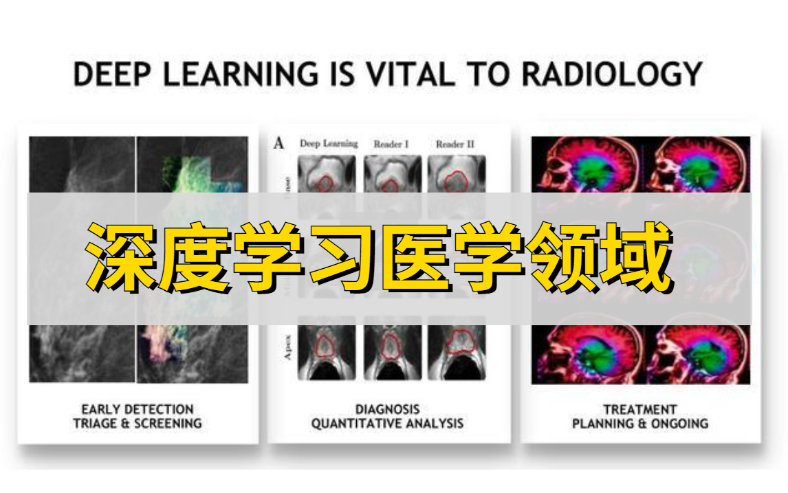 【B站首发】同济大佬讲解深度学习落地应用医学领域,导师没教的都在这里了!(神经网络、YOLO、pytorch、deeplab)哔哩哔哩bilibili