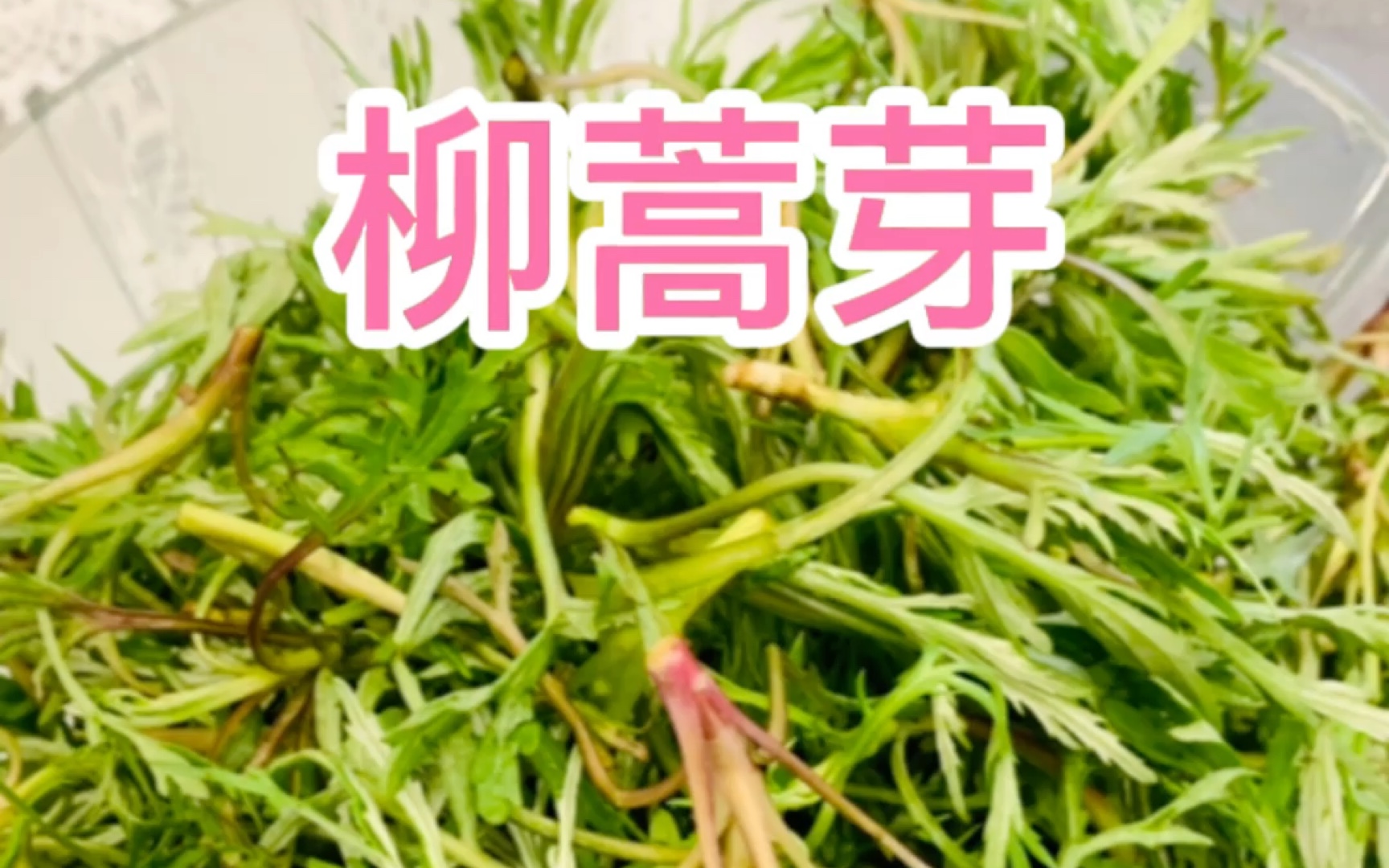 [图]挖野菜，丛姐儿时的乐趣！