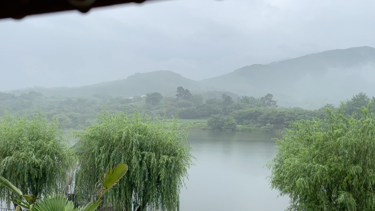 【学习用背景白噪】——南山竹海芷岚秋民宿哔哩哔哩bilibili