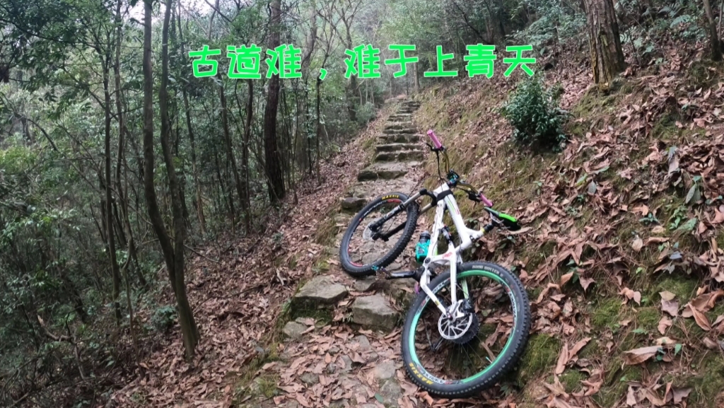 古道难,难于上青天,黄大仙古道越野刷台阶,上山修炼,得道成仙.(前篇)哔哩哔哩bilibili