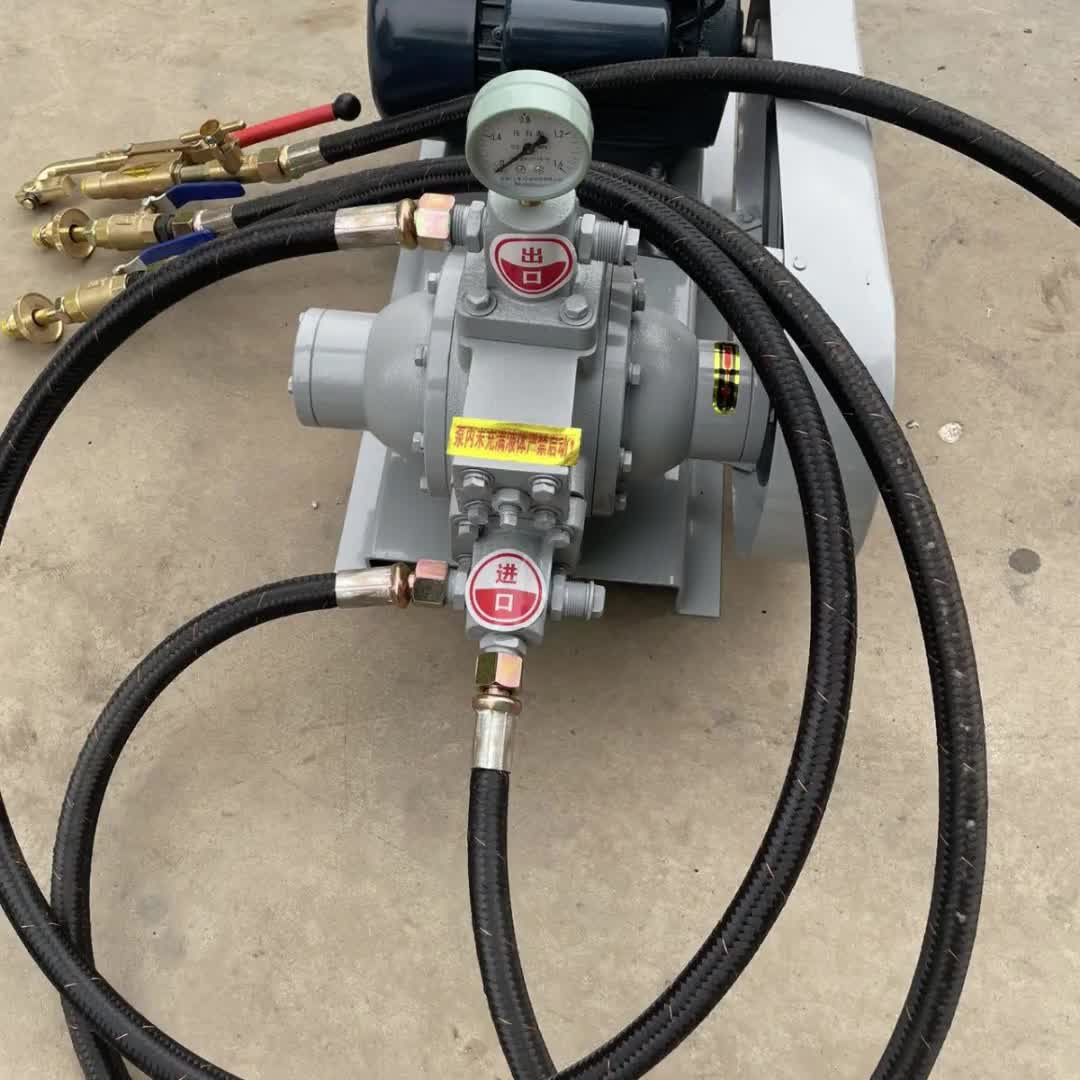 【39元券】220v液化气导气泵48v液化气泵车载倒气泵12v充气泵丙烷煤气