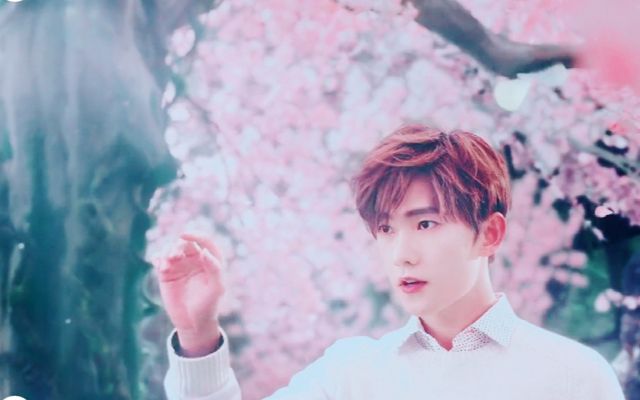【杨洋】乐事樱花味薯片春季限定版