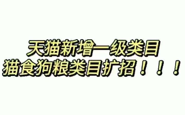 天猫入驻新增一级类目,猫食狗粮类目扩招!知舟带你快速入驻哔哩哔哩bilibili