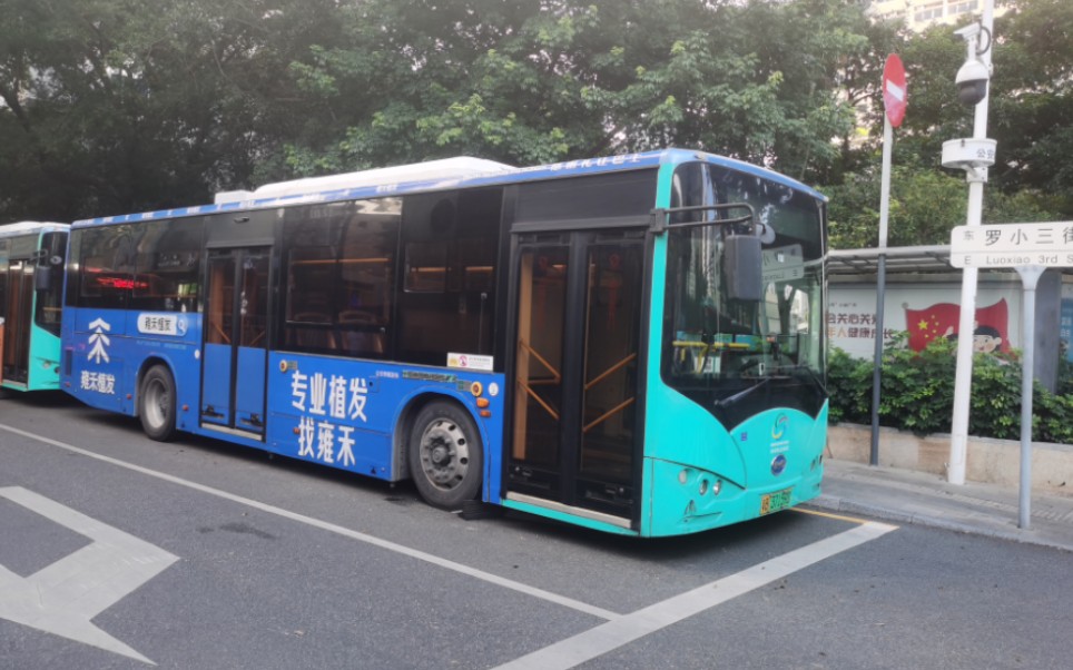 深圳巴士集团113路(深南香蜜立交-上海宾馆)比亚迪ck6100lgev2(k8)