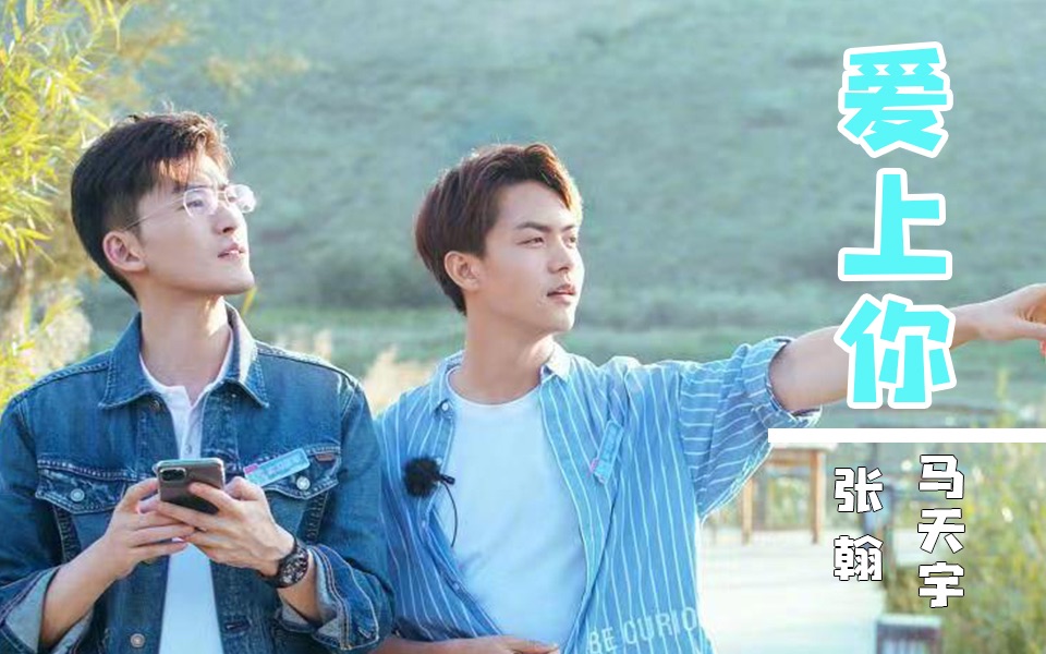 张翰x马天宇爱上你邪教cp霸道总裁x温柔助理