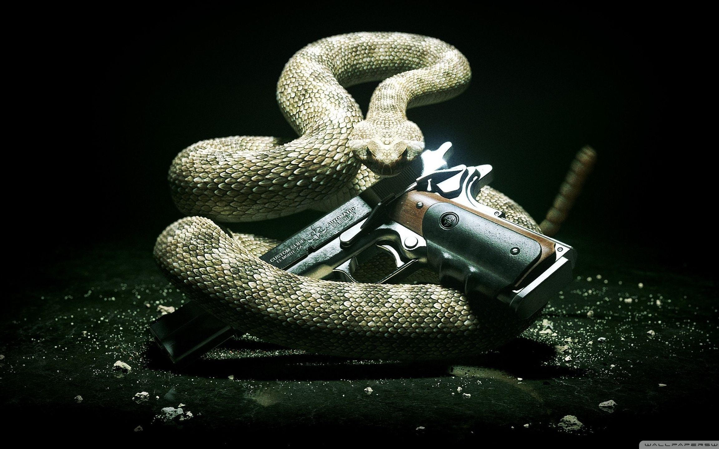 杀手6最后的奖励章 不换装sa_哔哩哔哩 (゜-゜)つロ 干杯~-bilibili