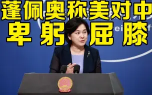 Download Video: 华春莹：停止喋喋不休的反华言论