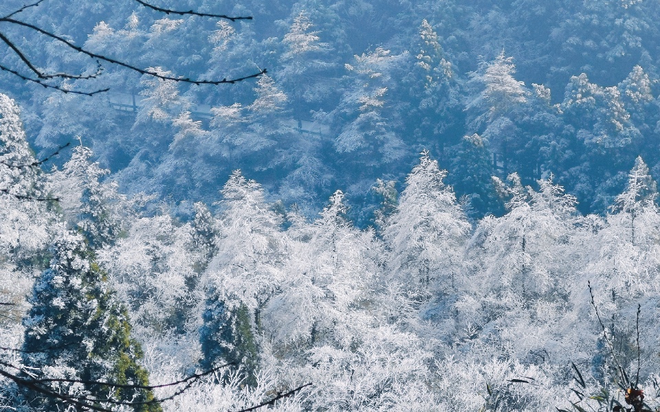 【霧凇】南嶽衡山