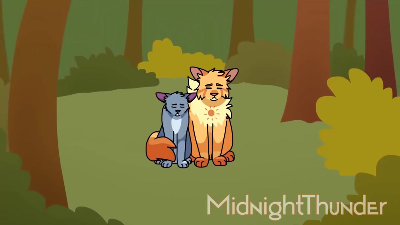 猫武士日星alliswell