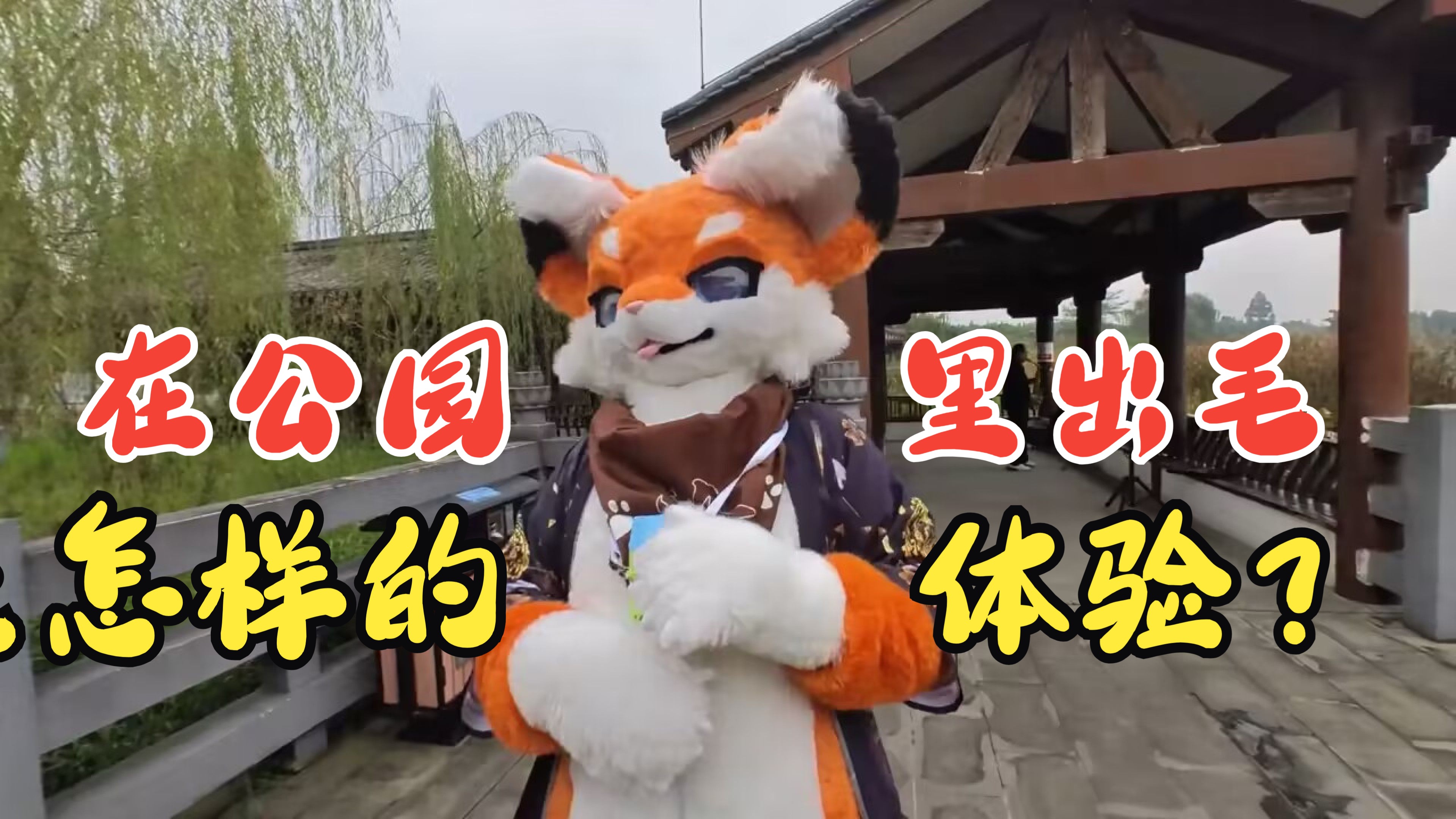 【Fursuit】震惊!!这只毛毛竟然在公园干这种事!!哔哩哔哩bilibili