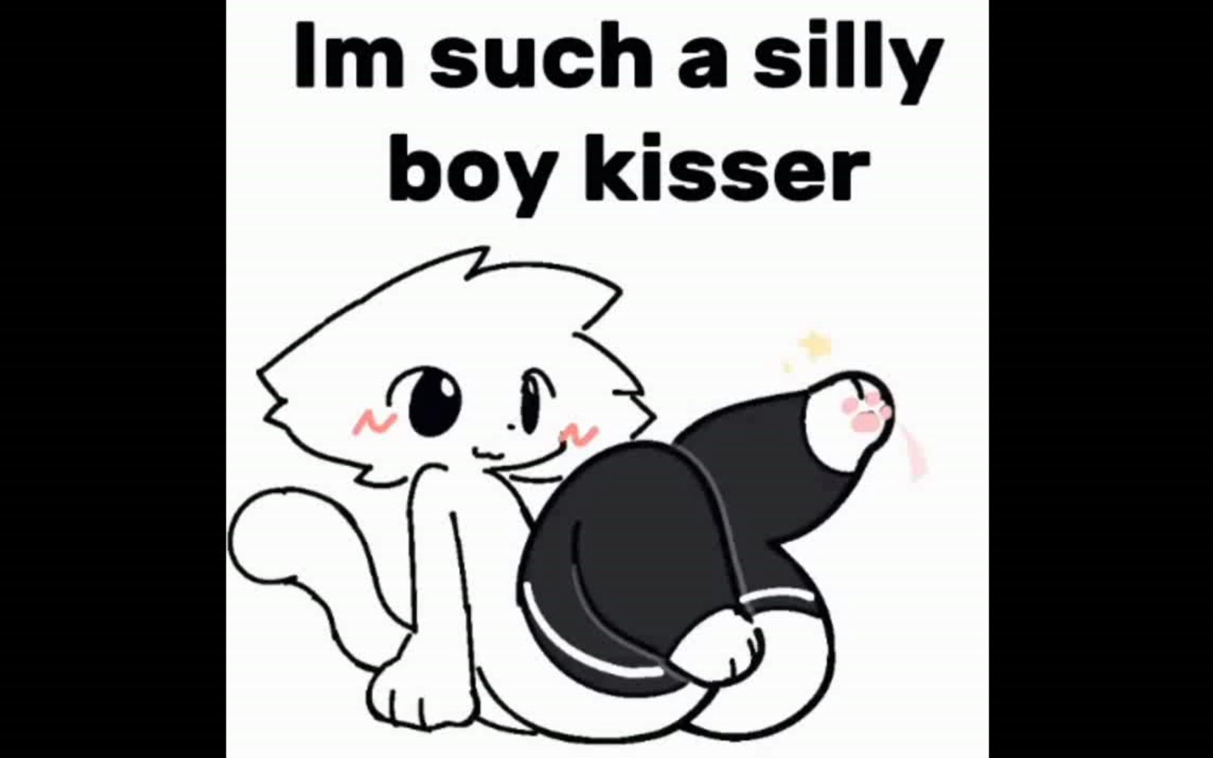 喜欢亲男孩子的小傻猫的梗.2(silly cat boykisser meme)