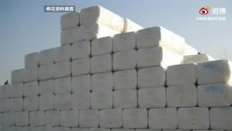 福建永安一进口棉花外包装新冠核酸阳性 已封存未流入市场