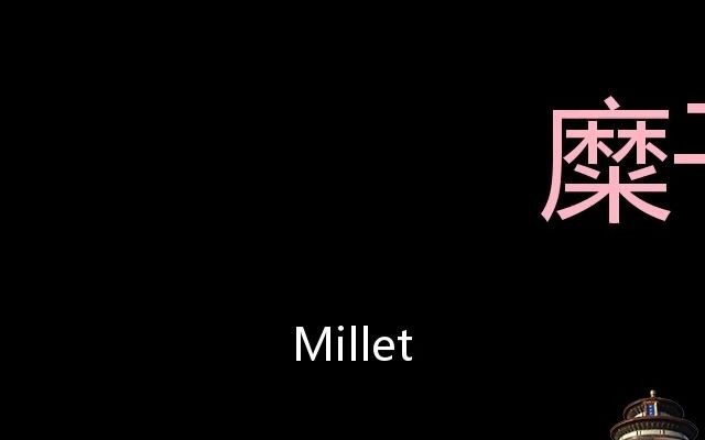 [图]糜子 Chinese Pronunciation Millet