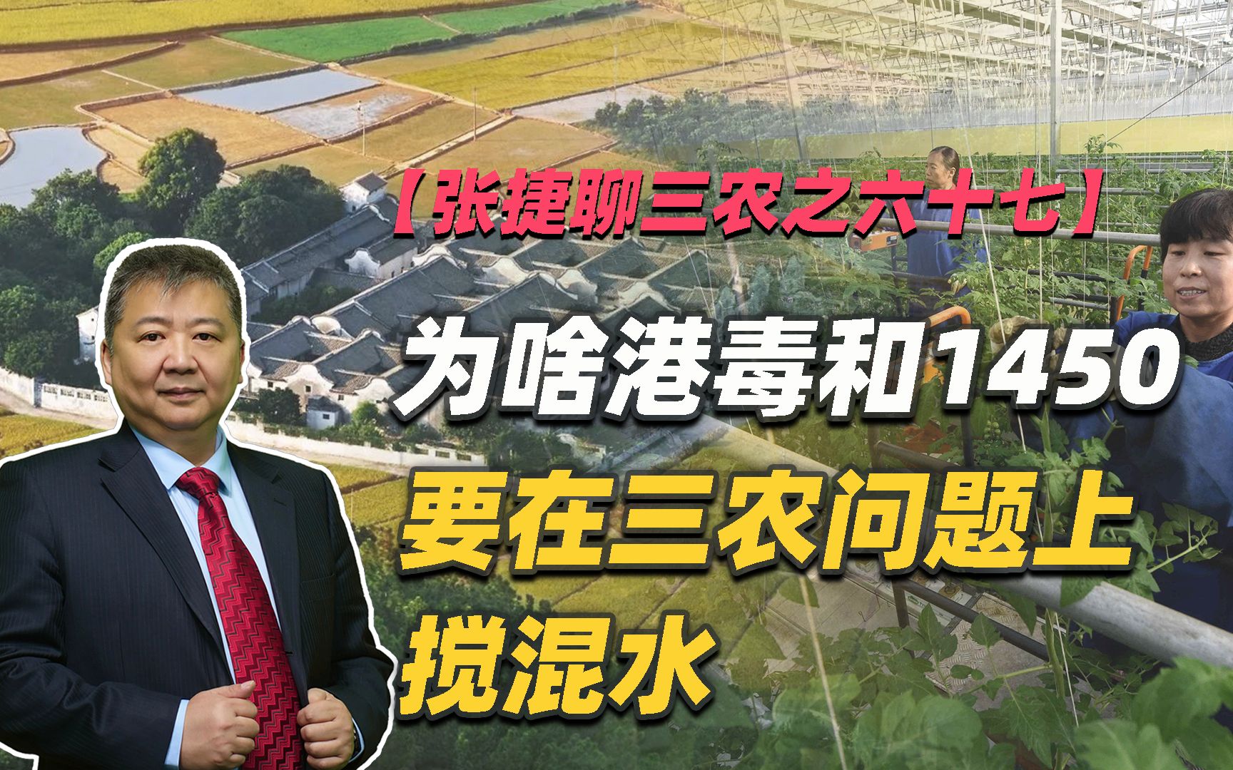 【张捷聊三农之六十七】为啥港毒和1450要在三农问题上搅混水哔哩哔哩bilibili