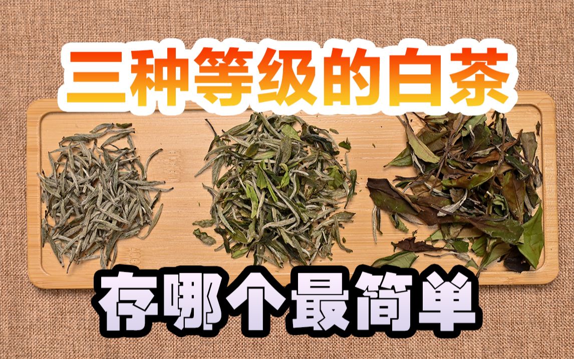 白茶中的白毫银针、白牡丹、寿眉哪个存储哪个最简单?哔哩哔哩bilibili