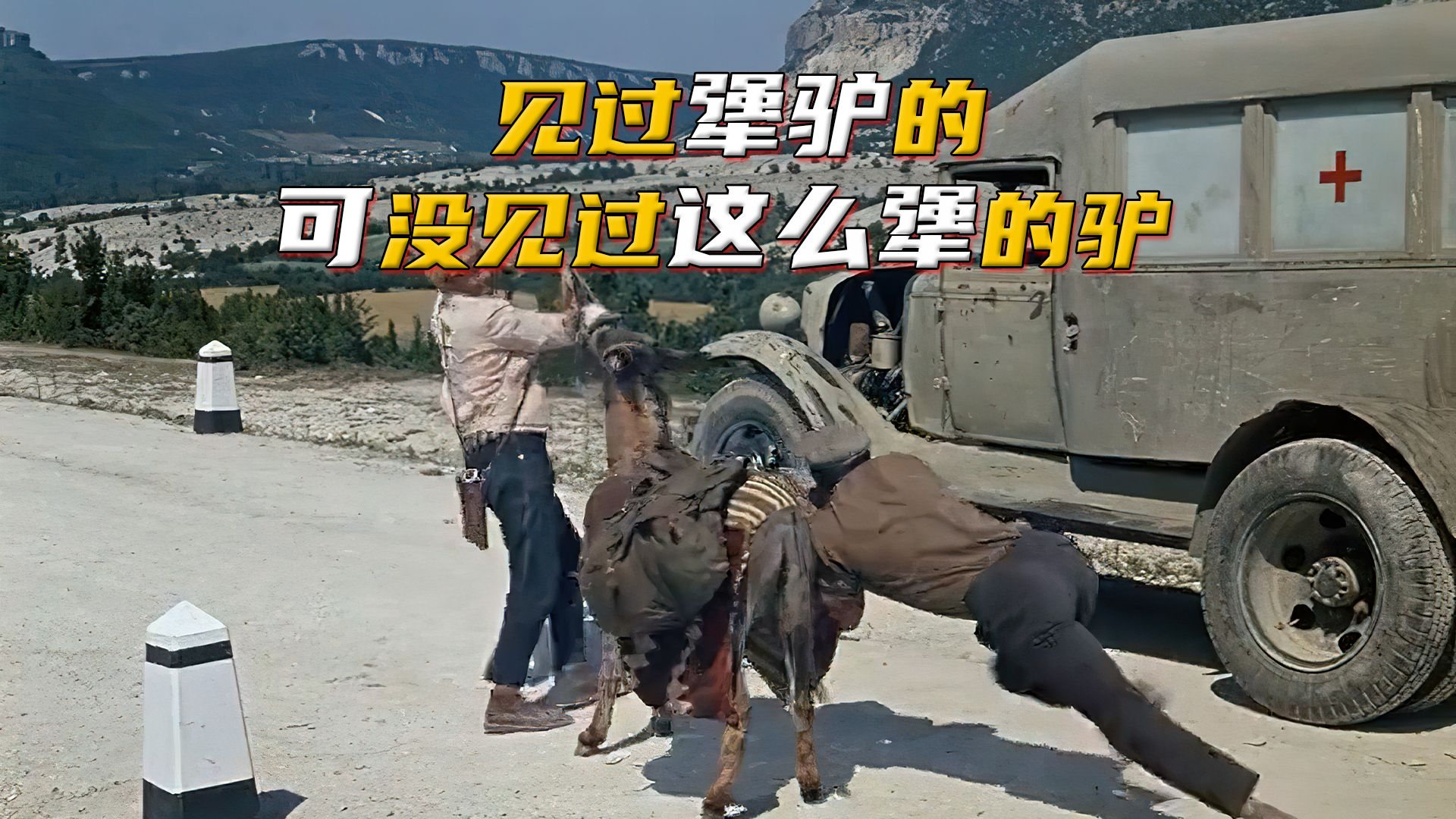 这是我见过最犟的一头驴,也是最不要脸的驴 #影视解说