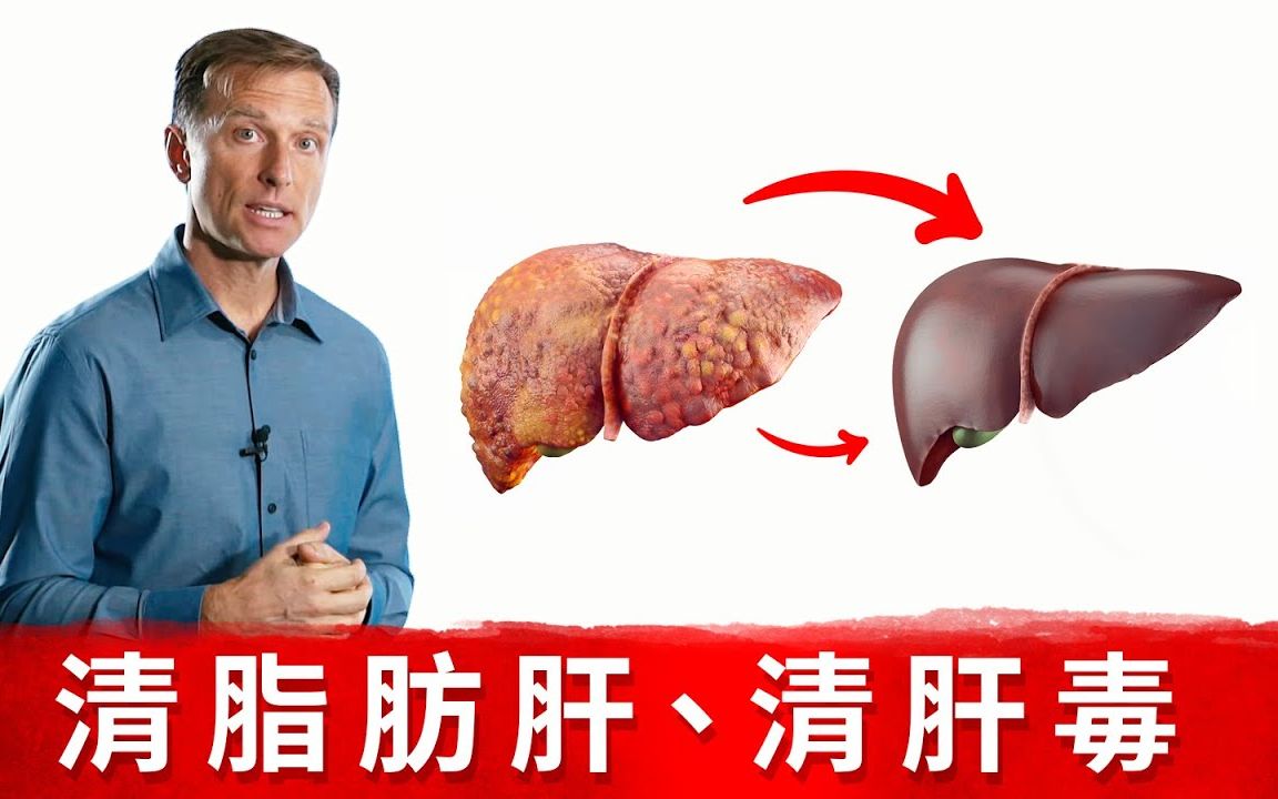 [图]【搬运】Dr.Berg 如何修复肝脏功能