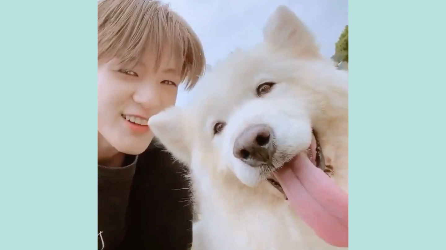 【nctdream】【李帝努】人间萨摩耶_哔哩哔哩_bilibili