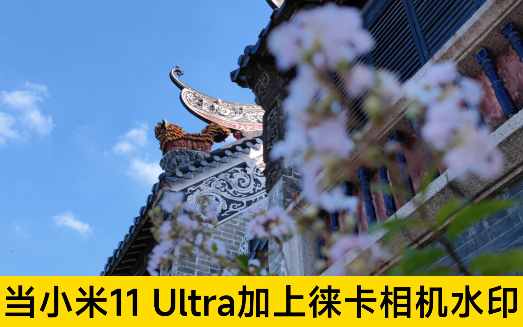 【4k超清】当小米11 ultra用上徕卡相机水印,真的打不过12s ultra吗?