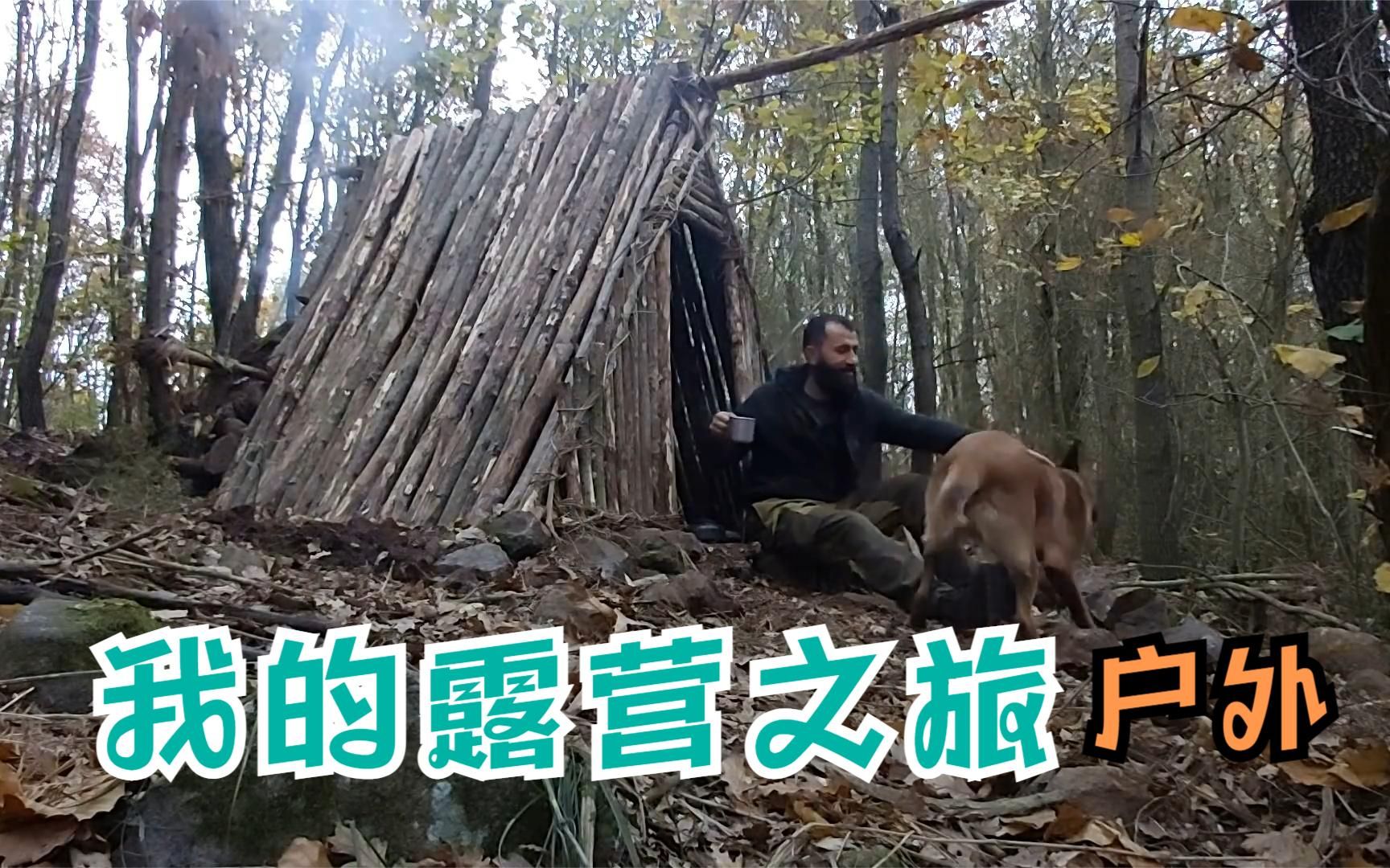 一人一狗森林里野营丛林之旅,生存小屋,离网庇护所,户外烹饪,露营,Diy哔哩哔哩bilibili