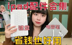 Download Video: 【合集】iPad买完没钱了？200左右帮你配齐！