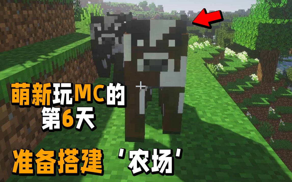 萌新玩MC的第6天,准备搭建'农场'哔哩哔哩bilibili