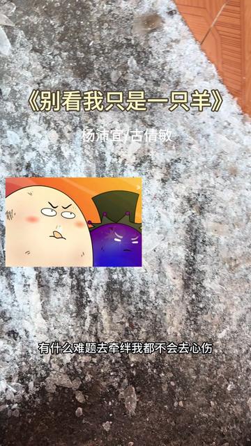 潇洒哥? 黑大帅?哔哩哔哩bilibili