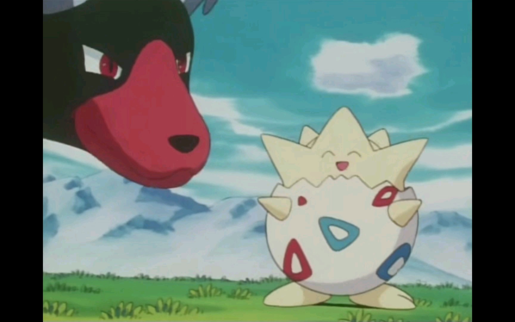 小霞的波克比去哪了