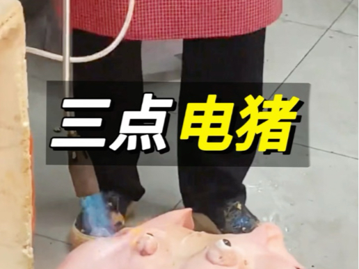 猪儿三点式心脑麻电机#杀猪#电#科技改变生活#科普#猪