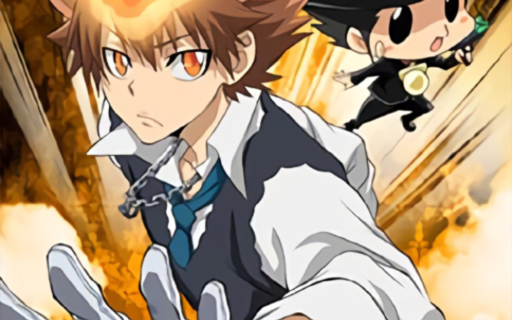 "家庭教师十代目纲吉:友情与羁绊"