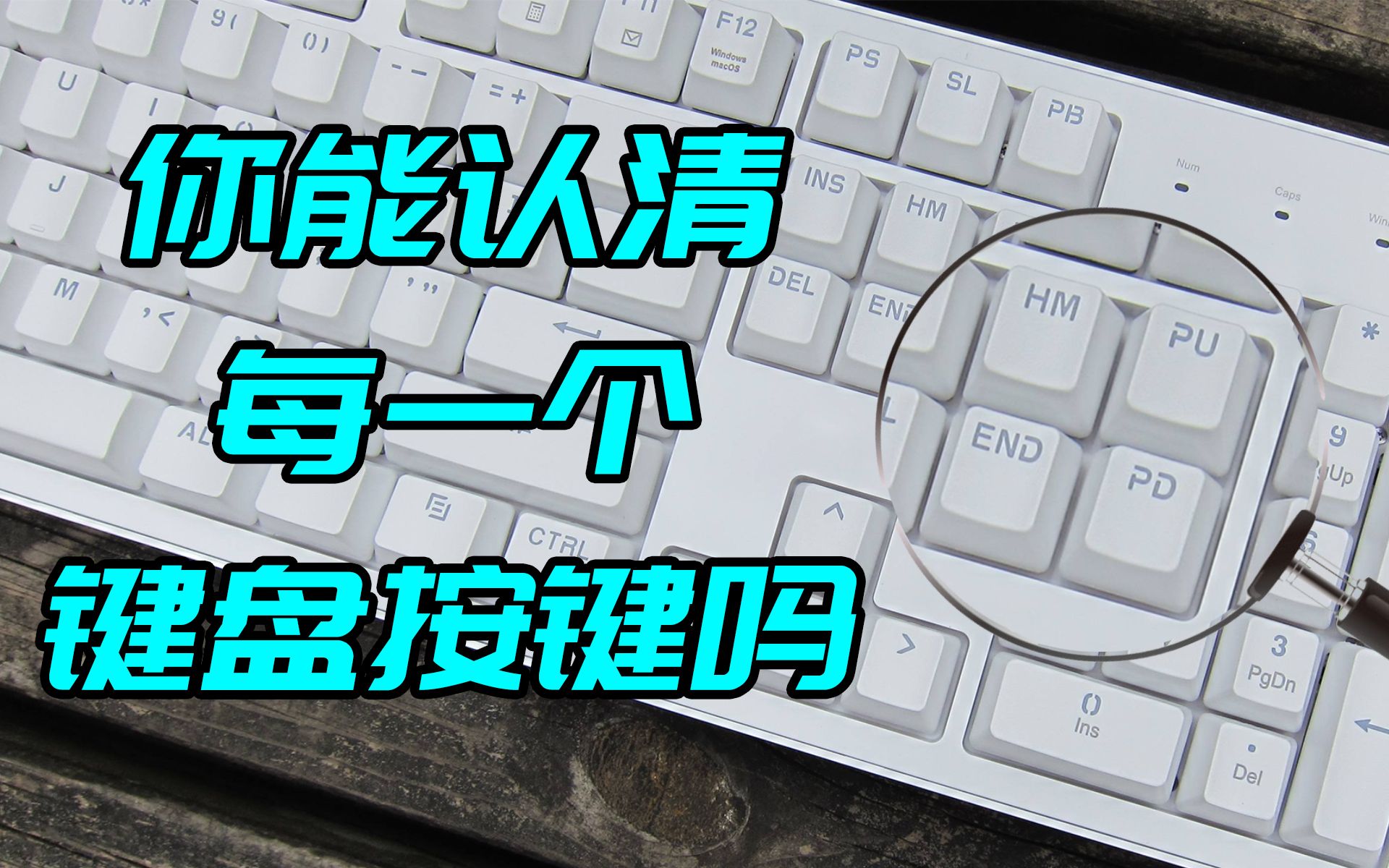 四分钟认全所有的键盘按键,键盘侠必修课!(不是)哔哩哔哩bilibili